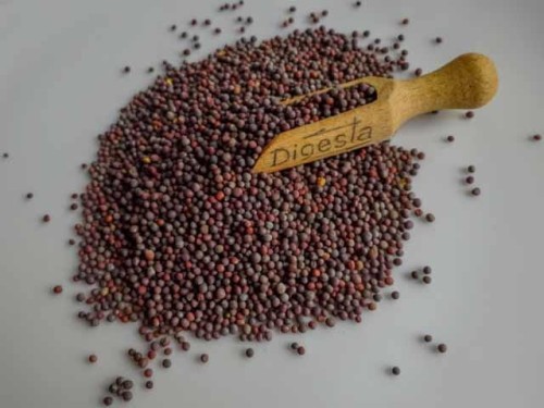 gorczyca czarna ziarno 70g