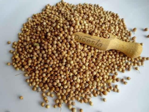 Kolendra ziarno 50g