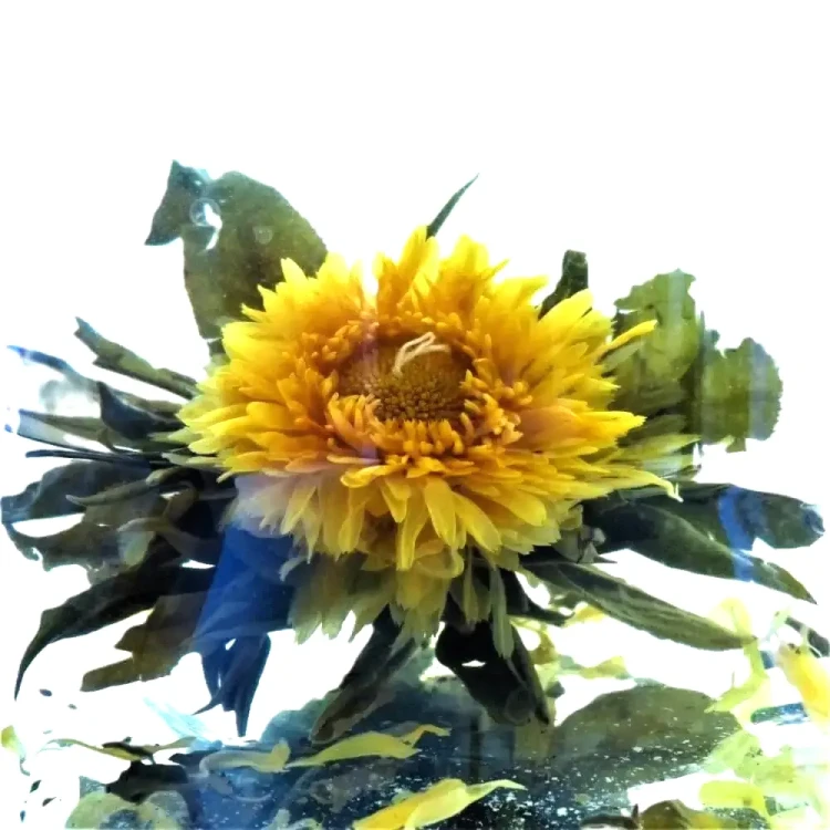 Herbata kwitnąca Camus Blooming