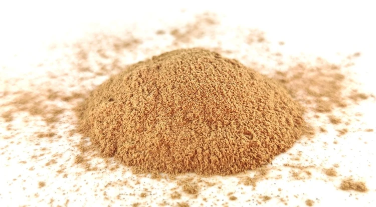 Cynamon cejloński mielony BIO 100g